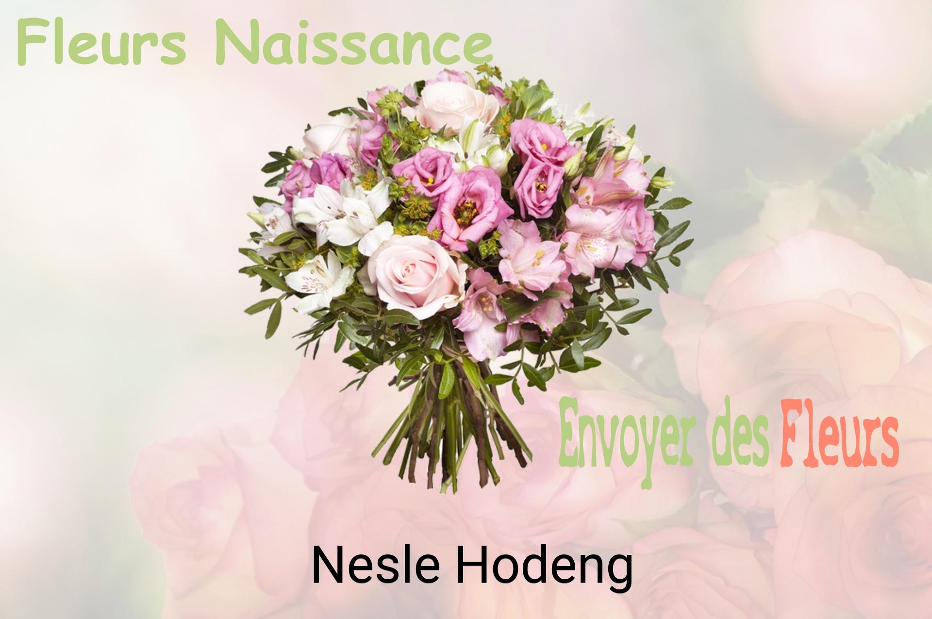 Bouquet de fleurs de naissance livré à Nesle-Hodeng